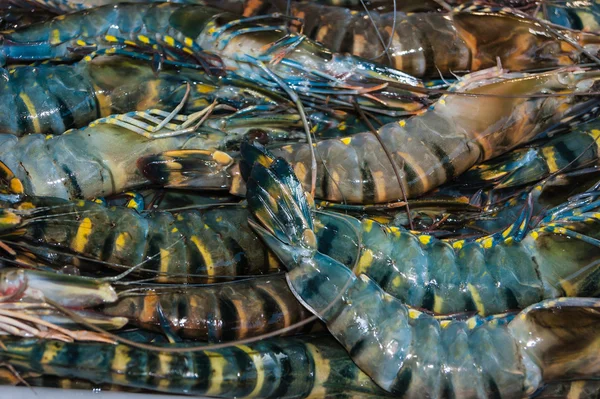 Garnelen und andere Meeresfrüchte auf einem Markt in Thailand — Stockfoto