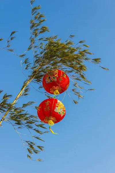 Китайские фонари на дереве — стоковое фото