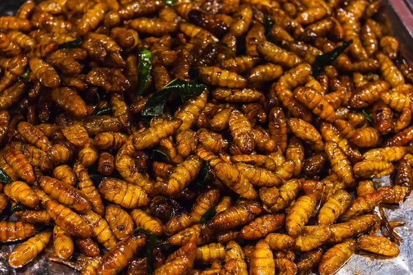 Fried larvas on the thailand — Stock Photo, Image