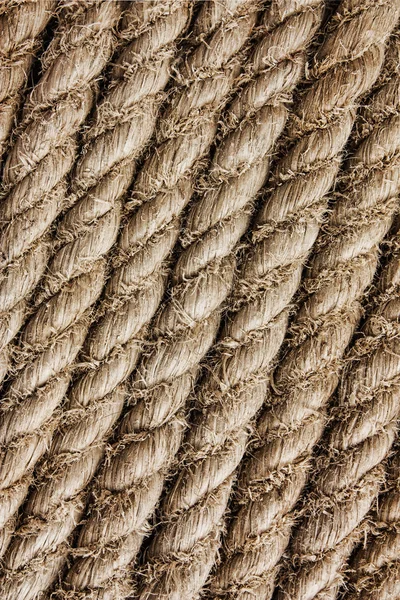 Texture of the ropes — Stok fotoğraf