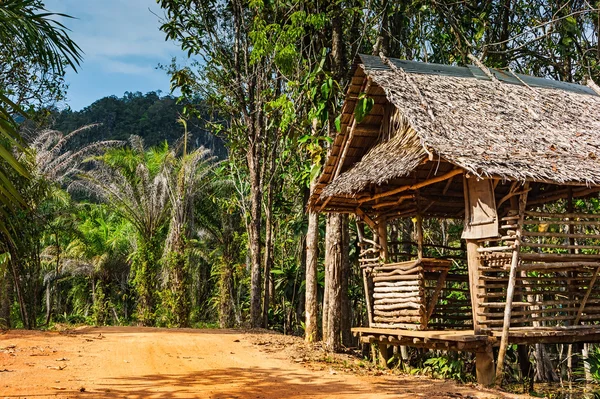 Cabane sur la route dans la jungle sur le Phuket en Thaïlande — Photo