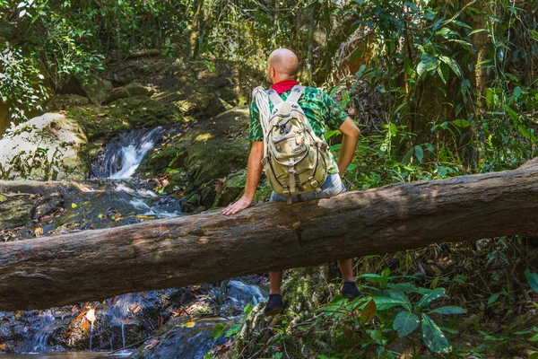 Traveler with a backpack on a log in the jungle — Stock Photo, Image