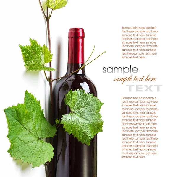 Sticla de vin — Fotografie, imagine de stoc