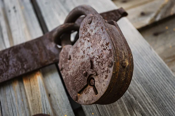 Old padlock on gatees — Stock Photo, Image