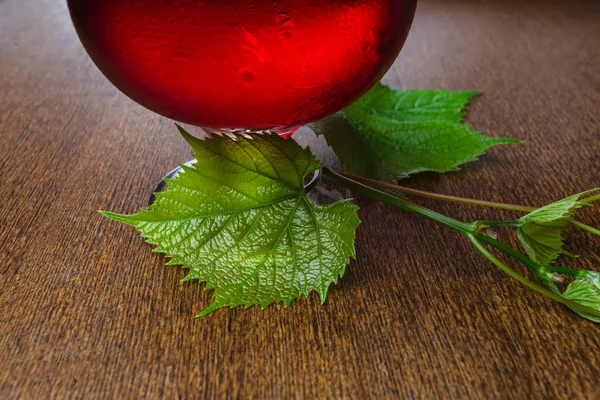 Verre de vin avec une vigne — Photo