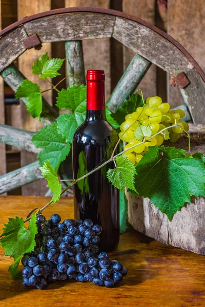 Eine Flasche Wein auf dem Hintergrund der Rebe — Stockfoto