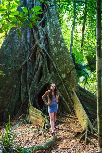 Tropical jungles of South East Asia — Stock Photo, Image