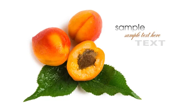 Sweet bright apricots with leaves on a white background — Stock Photo, Image