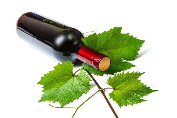 Flasche Wein — Stockfoto