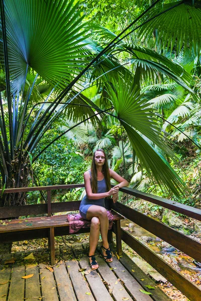 Tropical jungles of South East Asia — Stock Photo, Image