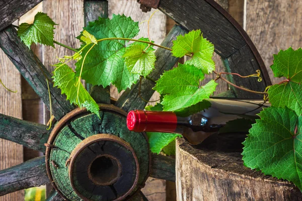 Una botella de vino en el fondo de la vid — Foto de Stock