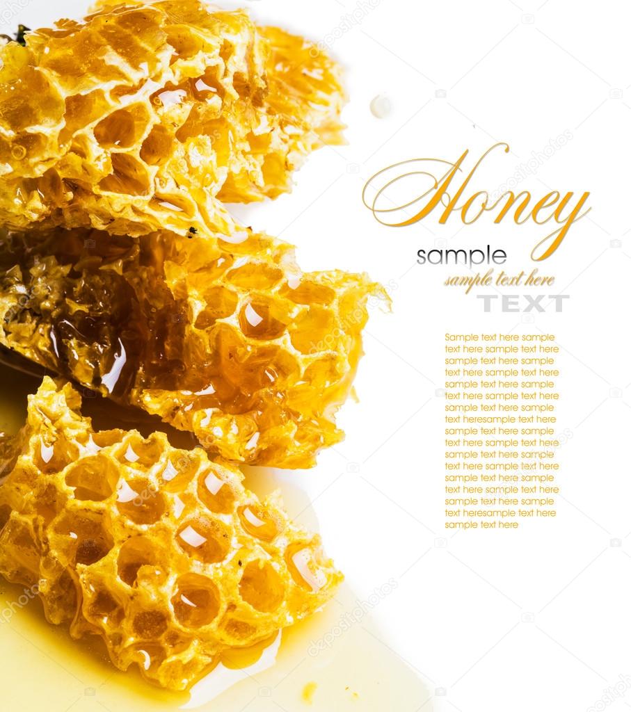 close-up pieces of honeycomb with honey