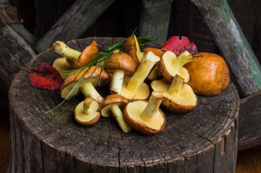 Natürmort sarı boletus mantar