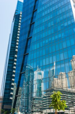 bir arka planda yansımaları yansıtılmış cam ağacı