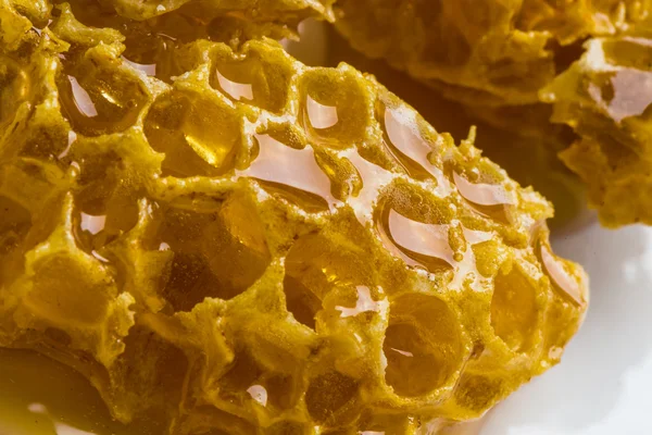 Primeros planos de panal con miel —  Fotos de Stock