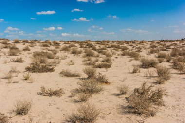 ateşli Arap çölü öğleden sonra
