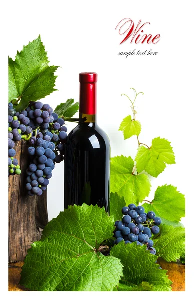 Пляшка червоного вина з виноградом — стокове фото