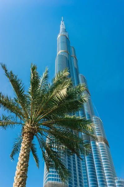 Bâtiments de grande hauteur à Duba — Photo