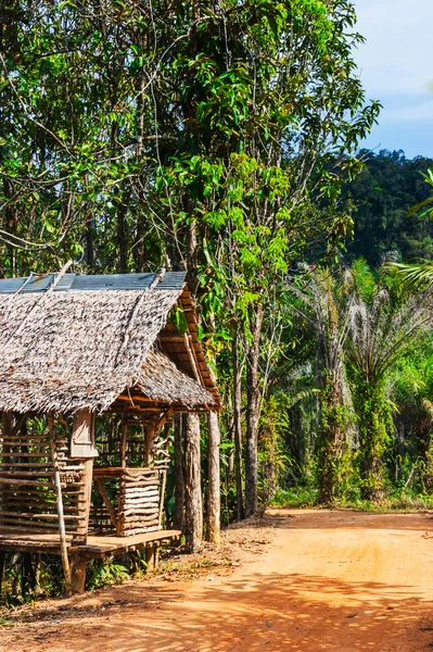 Cabane sur la route dans la jungle — Photo