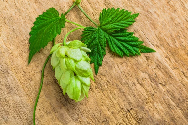 Hops background of the old board — Stock Photo, Image