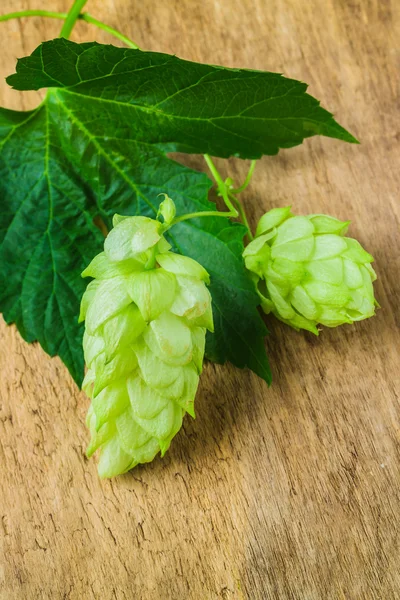 Hops background of the old board — Stock Photo, Image