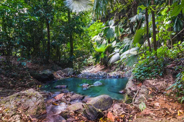 Selvas tropicales del sudeste asiático —  Fotos de Stock