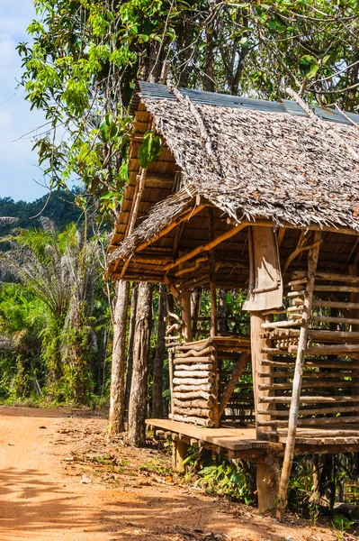 Tayland phuket üzerinde orman yolu üzerinde siper al