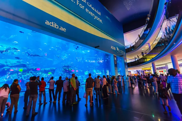 Aquarium à Dubai Mall — Photo