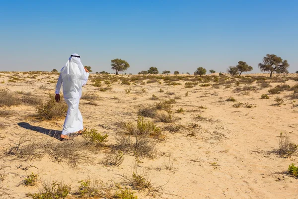 Arabian desert — Stock Photo, Image