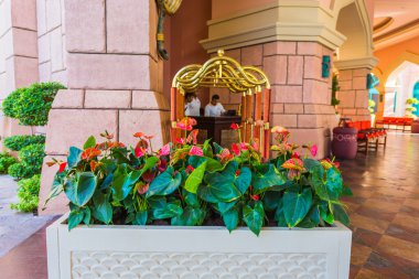 Atlantis hotel, Dubai, Birleşik Arap Emirlikleri