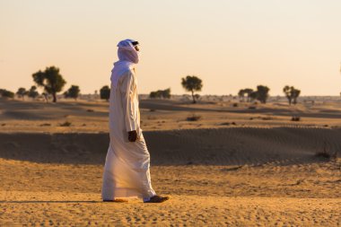  Arabian desert clipart