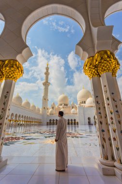 Şeyh zayed Camisi