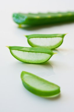 Aloe yaprakları kesti