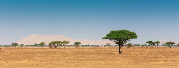 Arabská poušť — Stock fotografie