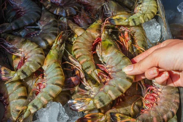 タイの市場で他の魚介類エビ — ストック写真