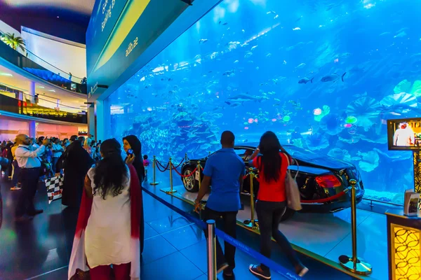 Akvárium v Dubaji — Stock fotografie