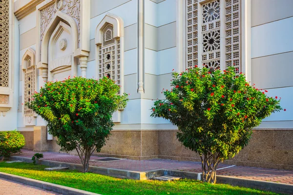 Trees near mosque in Sharjah — Stock Photo, Image