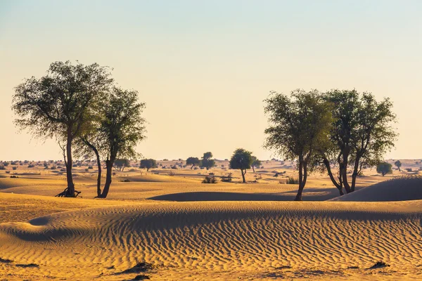 Arabische woestijn — Stockfoto