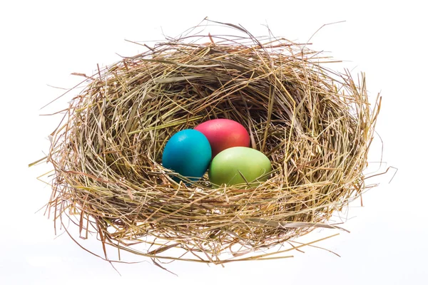 Nido con huevos de Pascua — Foto de Stock