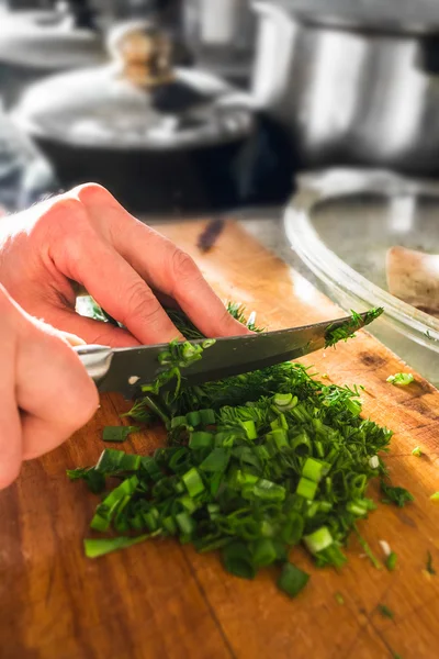 Onions and dill — Stock Photo, Image