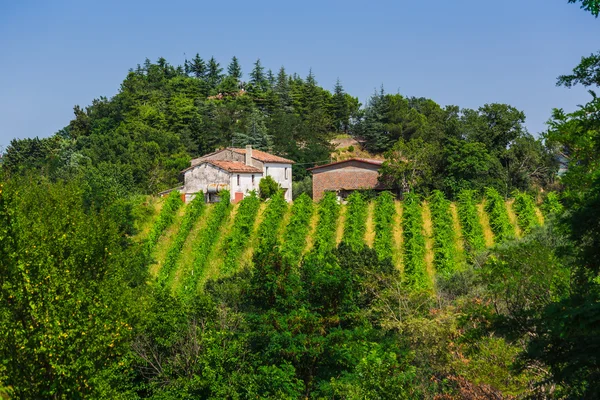 Ländliche Landschaft mit Häusern in der Toskana — Stockfoto