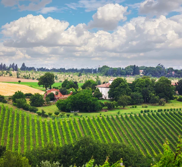 Landsbygdens landskap med hus i Toscana — Stockfoto