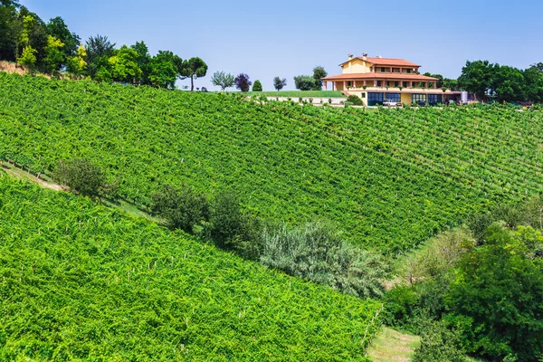 Paisaje rural con casas en Toscana — Foto de Stock