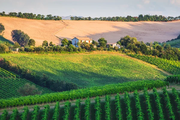 Сельский пейзаж с домами в Тоскане — стоковое фото