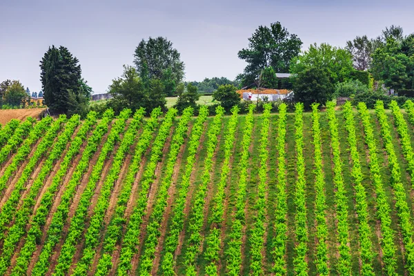 Paesaggio rurale con case in Toscana — Foto Stock