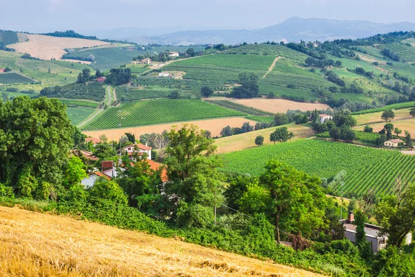 Paesaggio rurale con case in Toscana — Foto Stock