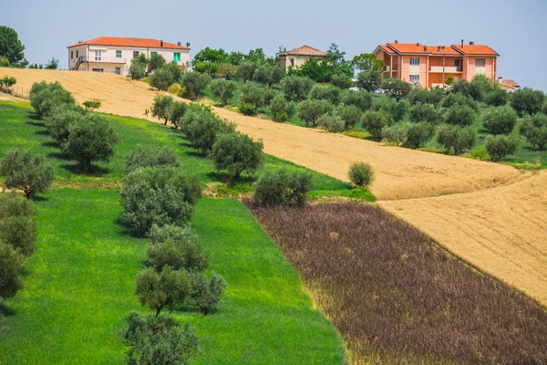 Paisaje con casas en Italia — Foto de Stock