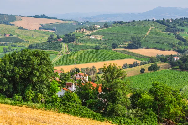 Ländliche Landschaft mit Häusern in der Toskana — Stockfoto