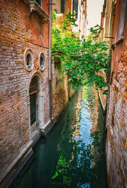 Venedik 'teki eski renkli tuğlalı evler arasında dar kanal — Stok fotoğraf