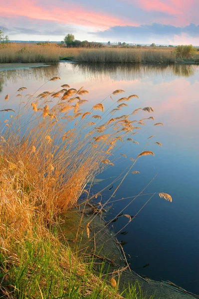 Noche Cálida Verano Atardecer Lago — Foto de Stock